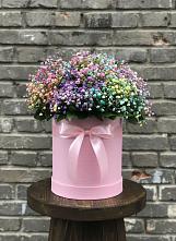 Цветочная композиция из Гипсофила и Розы в шляпной коробке в Старом Осколе