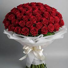 Букет 101 Красная роза Блэк Мэджик в Старом Осколе