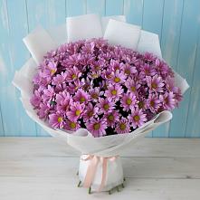 Букет цветов из:  Хризантемы в Старом Осколе