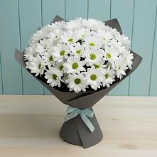 Букет цветов из:  Хризантемы в Старом Осколе