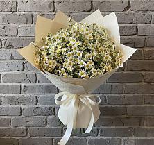 Букет цветов из:  Ромашки в Старом Осколе