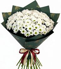 Букет цветов из:  Хризантемы #REPLACE_PRED# Старом Осколе