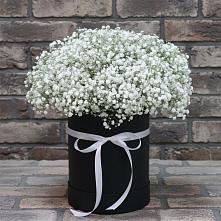 Цветочная композиция из Гипсофила в шляпной коробке в Старом Осколе