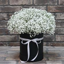 Цветочная композиция из Гипсофила в шляпной коробке в Старом Осколе