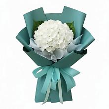 Букет цветов из:  Гортензия #REPLACE_PRED# Старом Осколе
